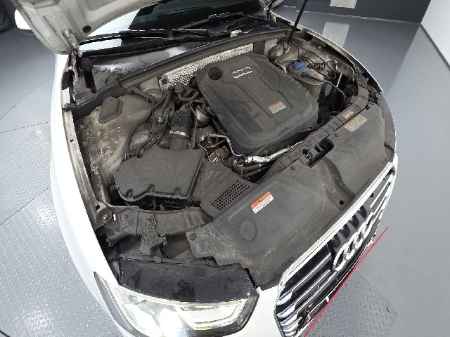 d025ea4ee472f03ee41e4def3e2b1e4c.jpeg