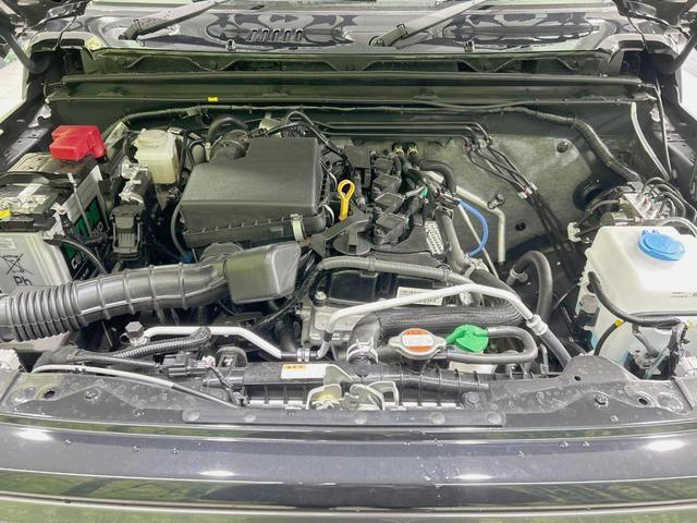 21344259_carP_l_16.jpg