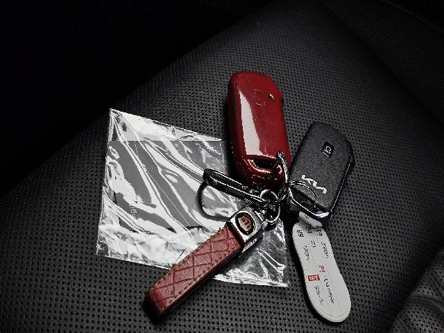 d2616dbbdd7600905ba9b17e5080500e.jpeg