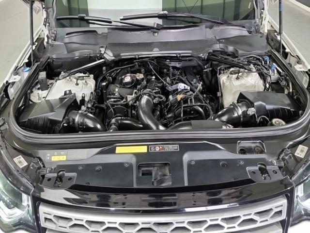 e40074457d586b4997947cb0edc7ee53.jpeg