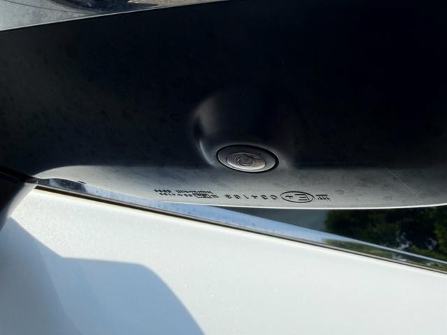 25550412_carP_l_14.jpg