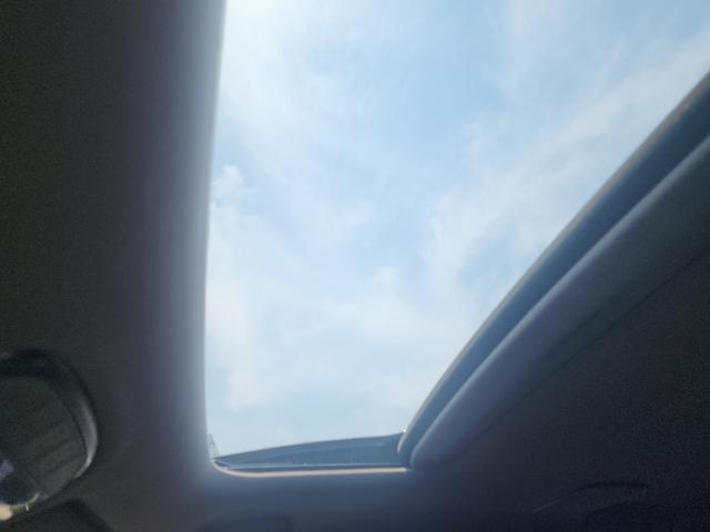b7367eaa15029c6503e139d0f8d4bca6.jpeg