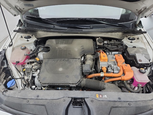 lotterental_212331278_b9hST_9.jpg