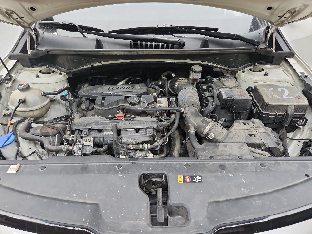 lotterental_145611384_fMc4X_8.jpg