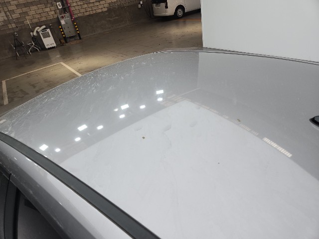 lotterental_150539653_LSREM_7.jpg