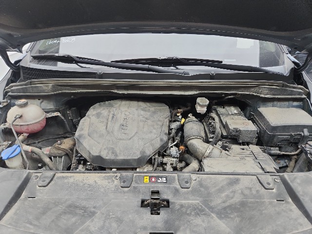 lotterental_203540414_n6COo_9.jpg