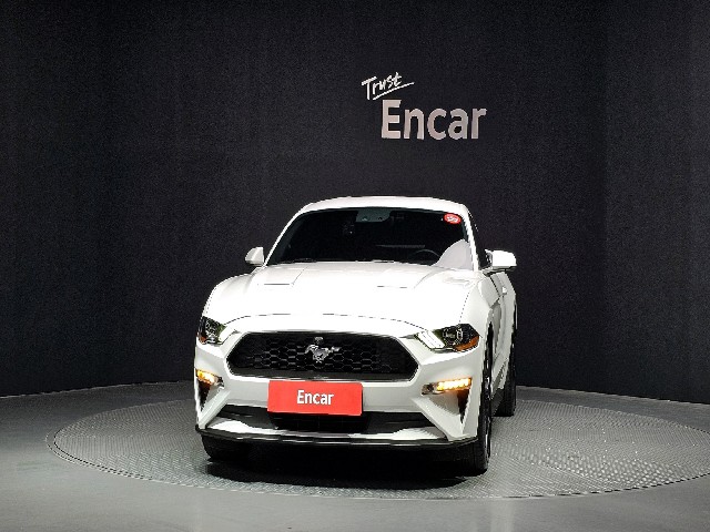 e24595524dfbadc32b913910750cad17.jpeg