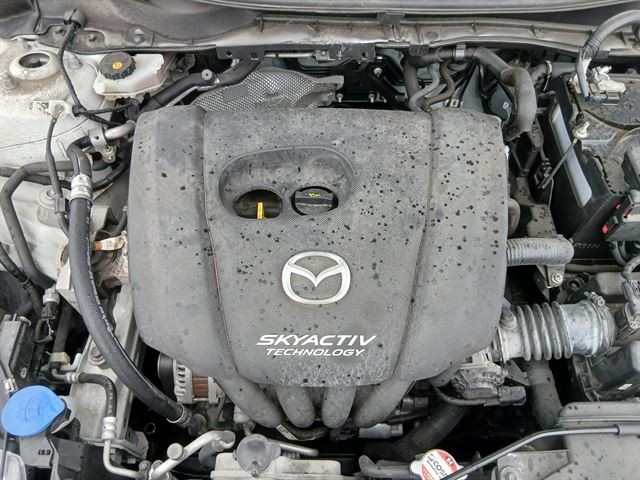 08.jpg