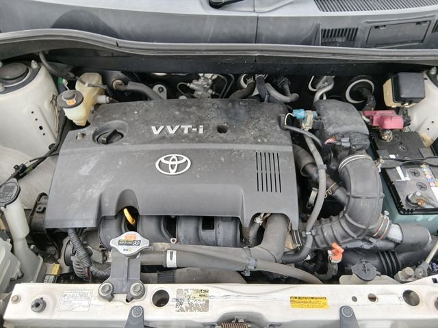 08.jpg