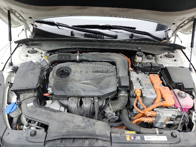 lotterental_112935537_wjp7M_10.jpg