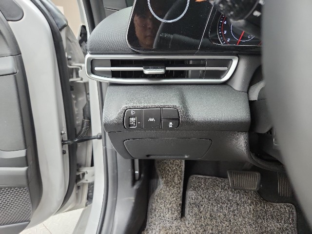 lotterental_205102948_9m7tb_2.jpg