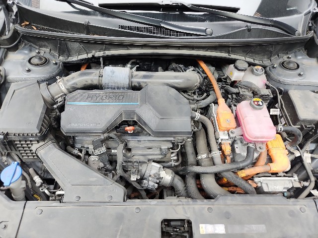 lotterental_112544864_88GYl_9.jpg