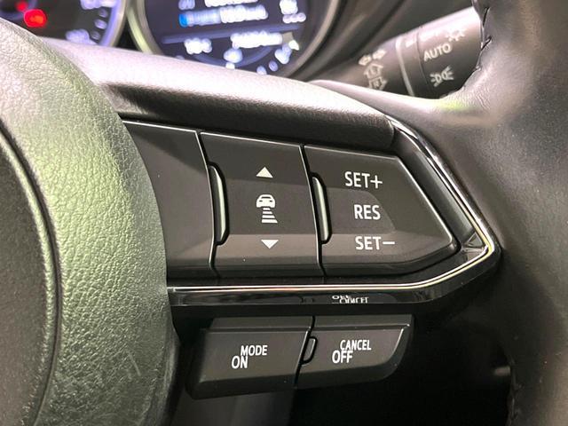 20625475_carP_l_10.jpg