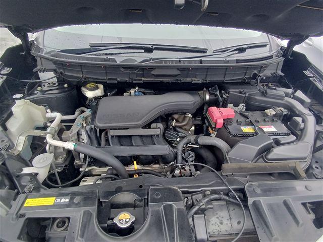 08.jpg