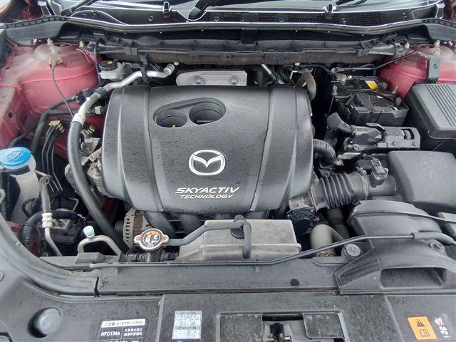 08.jpg