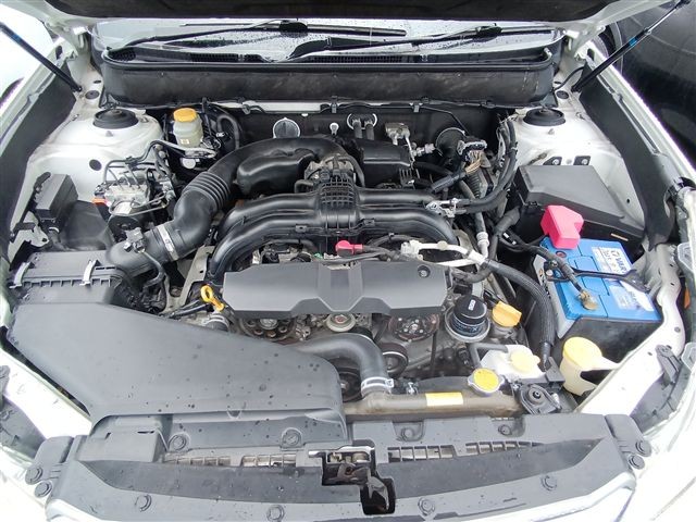 08.jpg