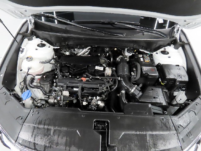 d0166a8fca0f5b3928a3a0d8f69a4471.jpeg