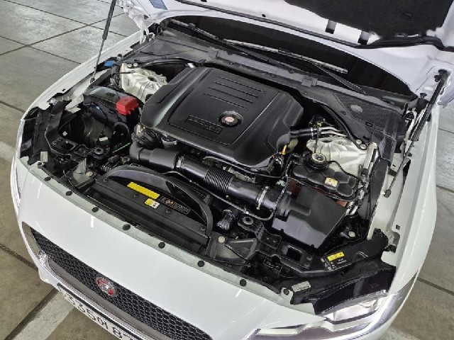 b241864ec1291a72dde92fca87023af7.jpeg