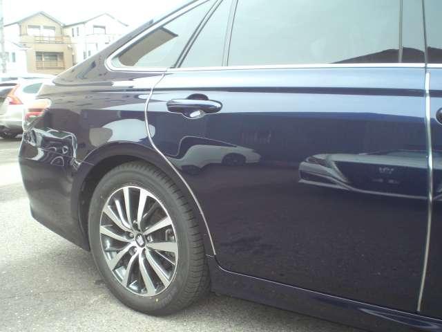 23257993_carP_l_6.jpg