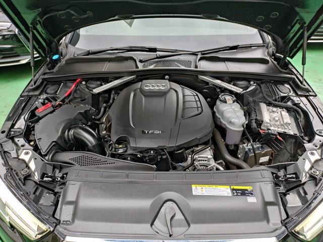 23113052_carP_l_17.jpg