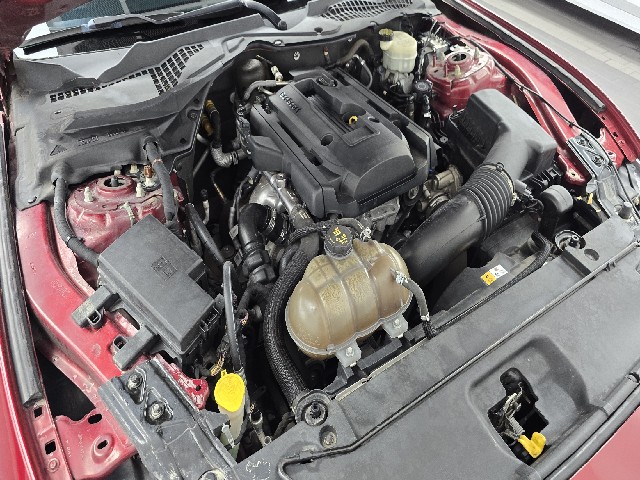 f8f79e0904549342edc246c00238fad2.jpeg