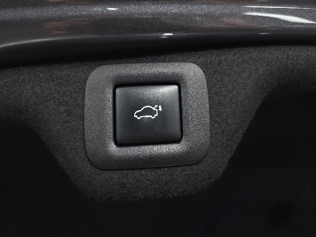1c54ae43235385e4ac5e4333a6429954.jpeg