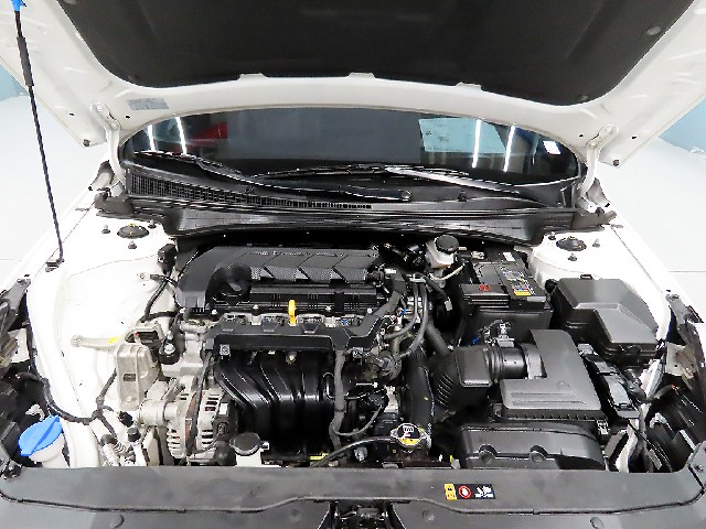 ffeb4859d60dfeb67d2ebec3080ae950.jpeg