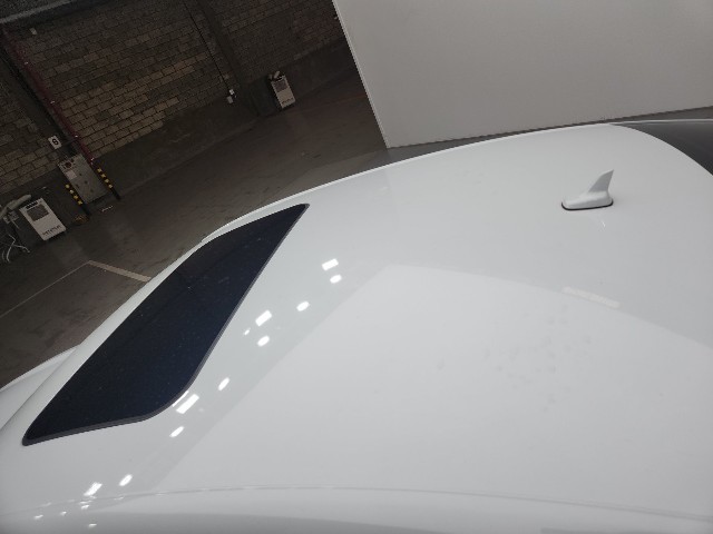lotterental_102546354_y4IEk_8.jpg