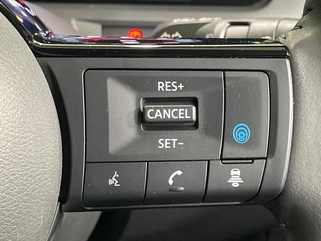 27051841_carP_l_13.jpg