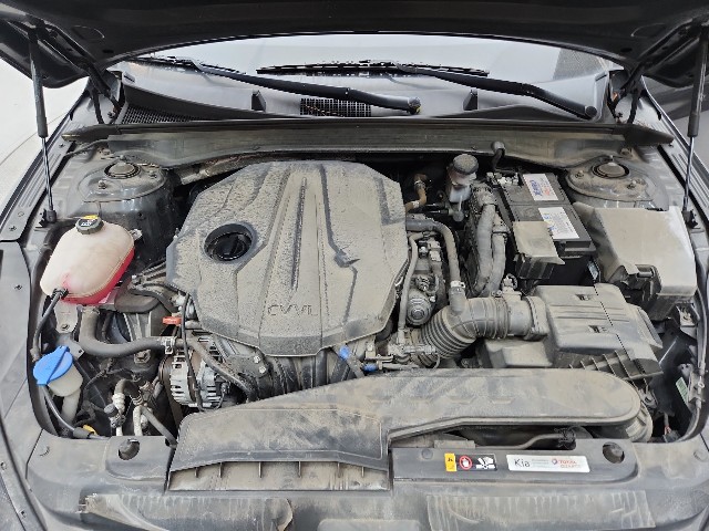 lotterental_183850581_1w5tn_9.jpg