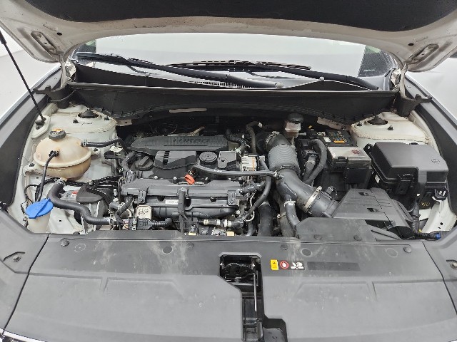 lotterental_155034962_L5Eqa_5.jpg