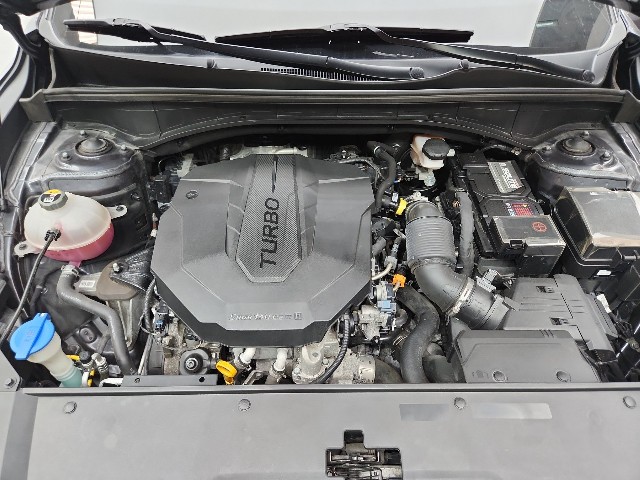 lotterental_155207500_7vdEI_10.jpg