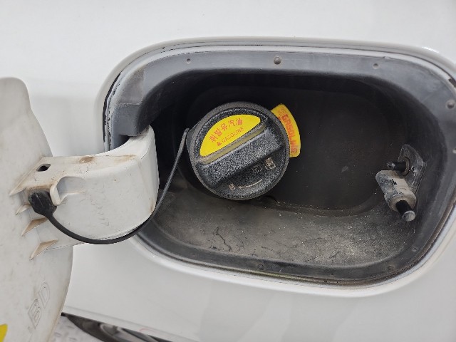 lotterental_172739756_S5KLq_10.jpg