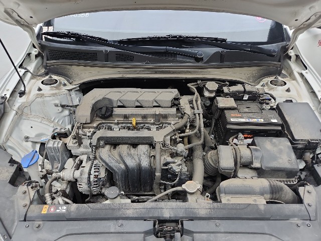 lotterental_134842309_Sf72p_6.jpg