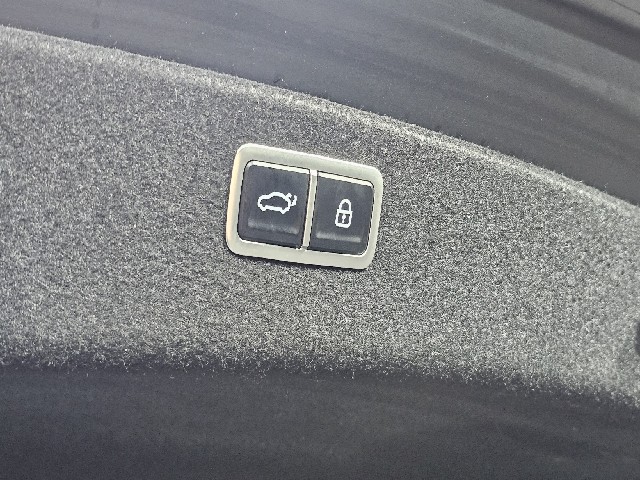 69703bedab926ed8170a1cddc7770b12.jpeg
