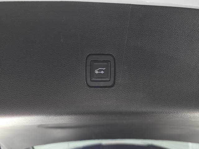 2f97845602153e5f7b73ee17d8db240d.jpeg