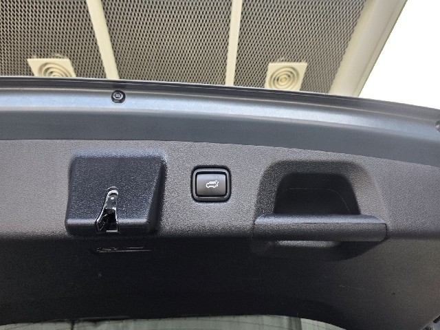 8100daf5056a5e06af78b67c4fd52fe6.jpeg