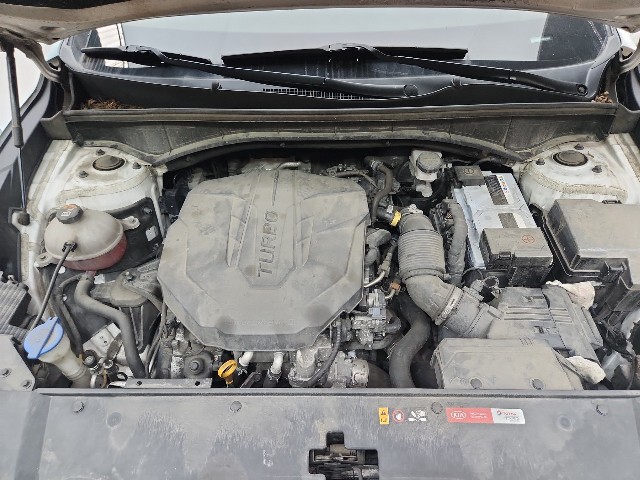 lotterental_155937859_Ssg0Q_6.jpg