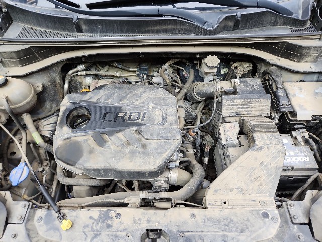 lotterental_210944772_TgWqR_1.jpg