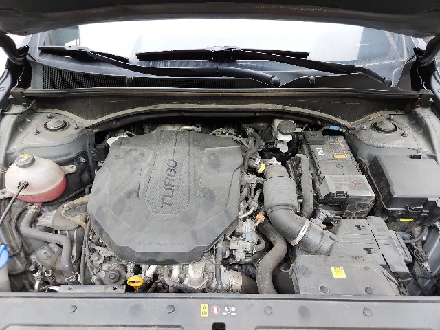 lotterental_212238839_lV1Ic_3.jpg