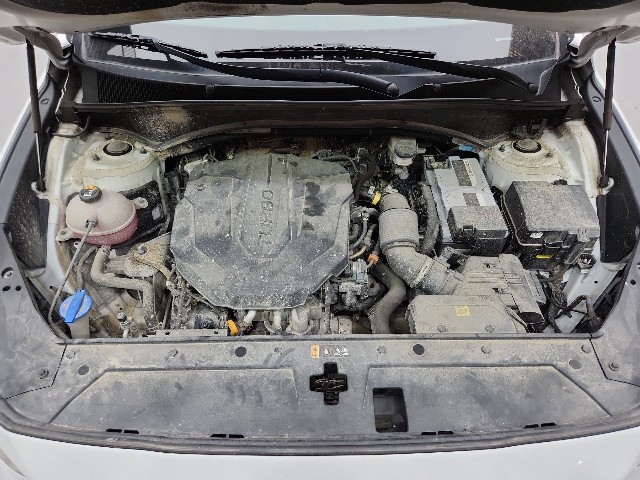 lotterental_104918568_BPBnv_3.jpg