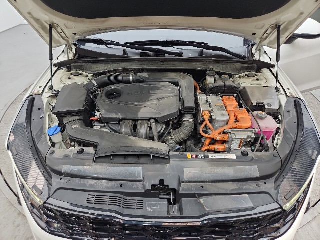 lotterental_15155108_D53UL_10.jpg