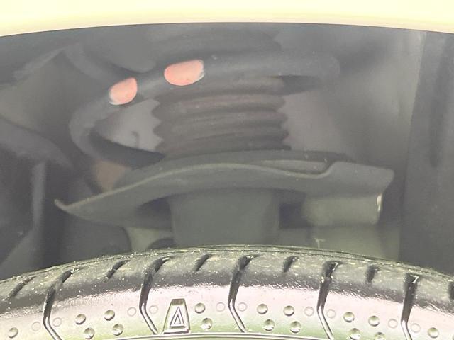 22619896_carP_l_20.jpg