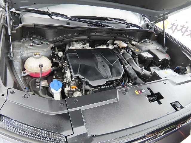 09d0e10916169a81582cee9fac62846f.jpeg
