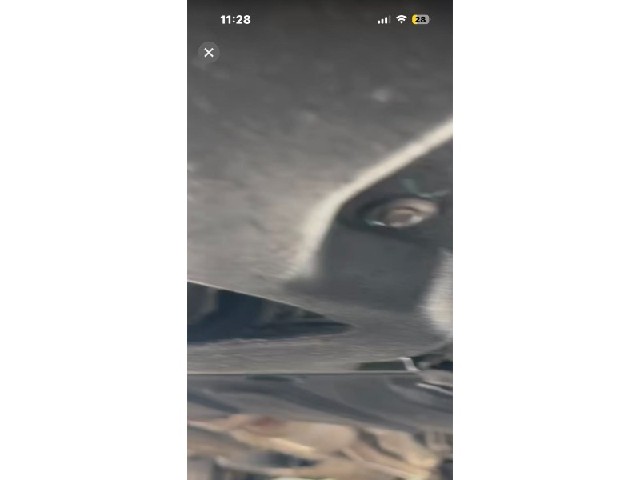 a204109ad21fb338756eedeed24d8106.jpeg