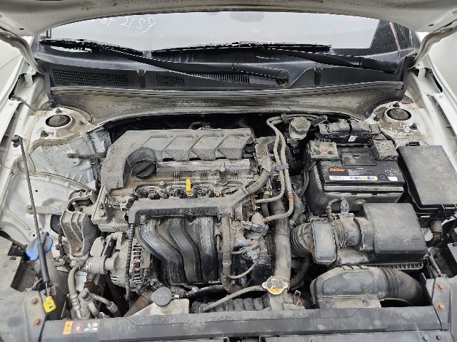 lotterental_101955368_0dNTR_1.jpg