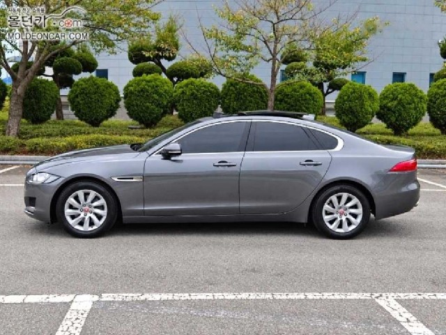 e0202c0d6313975aad4a3e23979d3656.jpeg