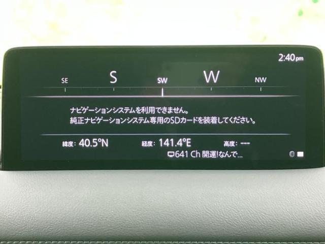 22340007_carP_l_2.jpg