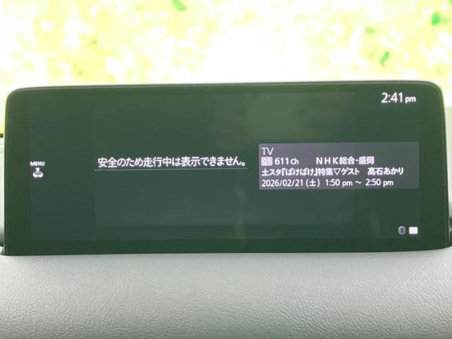 22340007_carP_l_6.jpg
