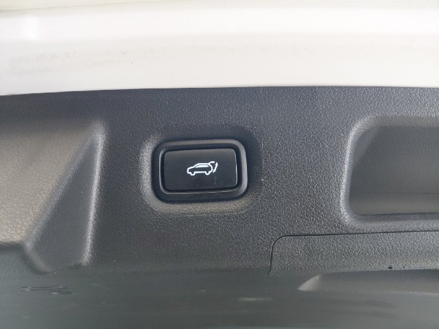 aec688073a6c6f0afb58f6d5e228c365.jpeg